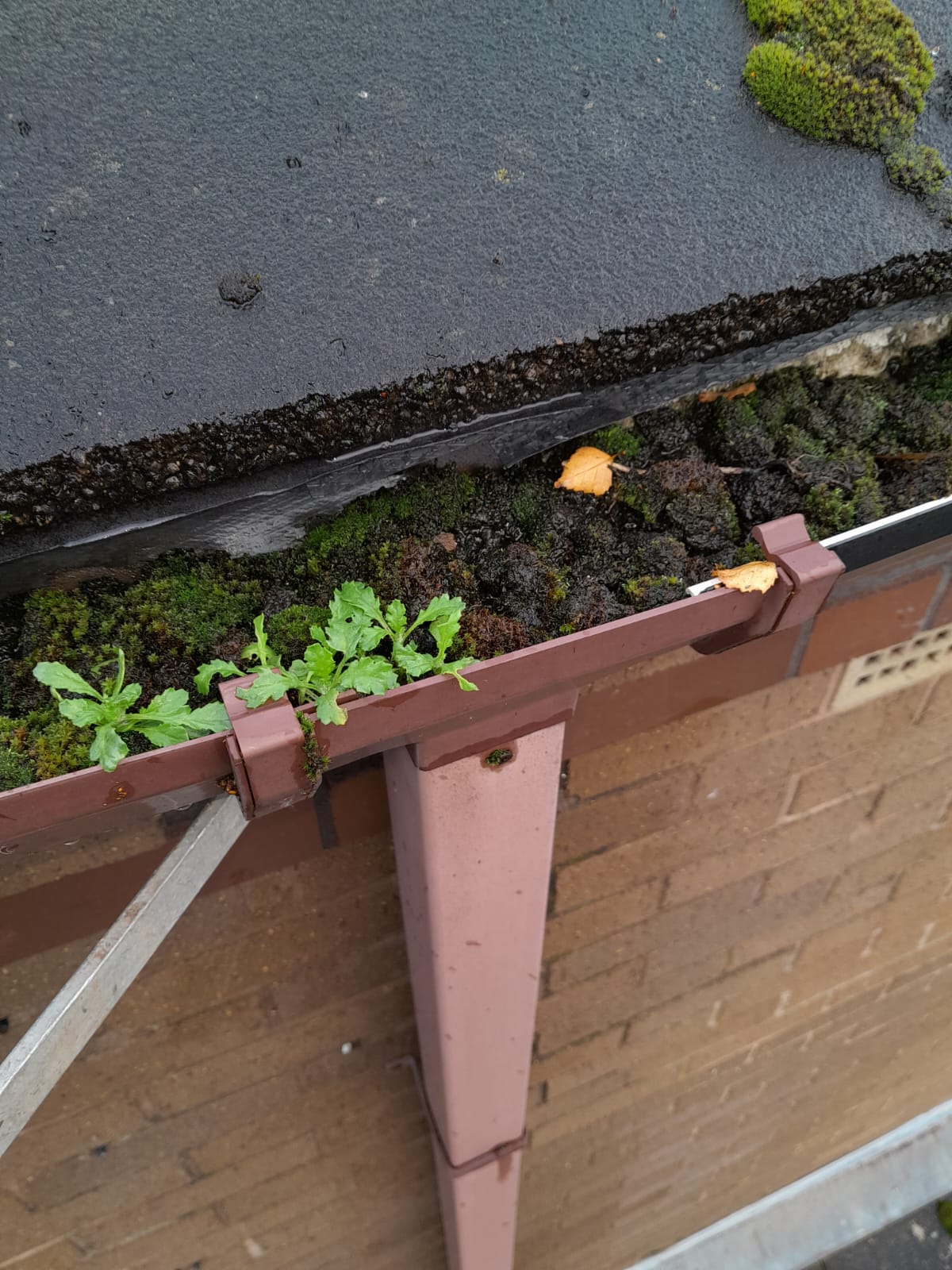 Gutter Cleaning Spike Island Before