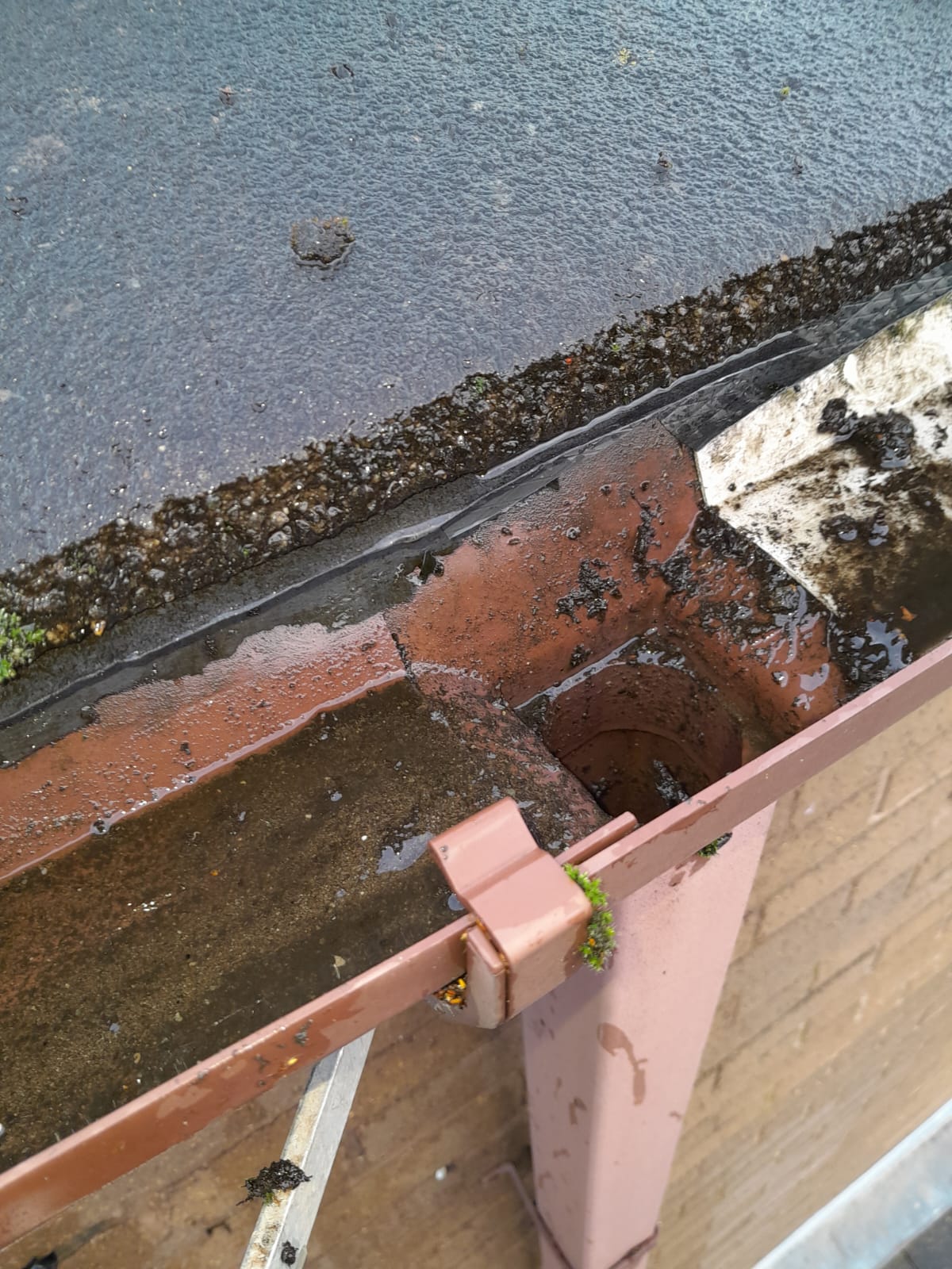 Gutter Cleaning Spike Island After
