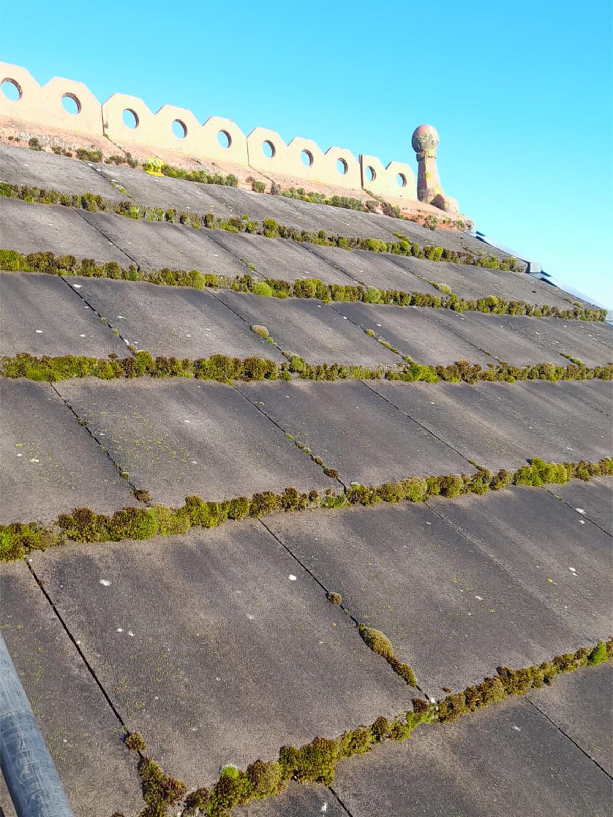 Roof Cleaning Newtown Before