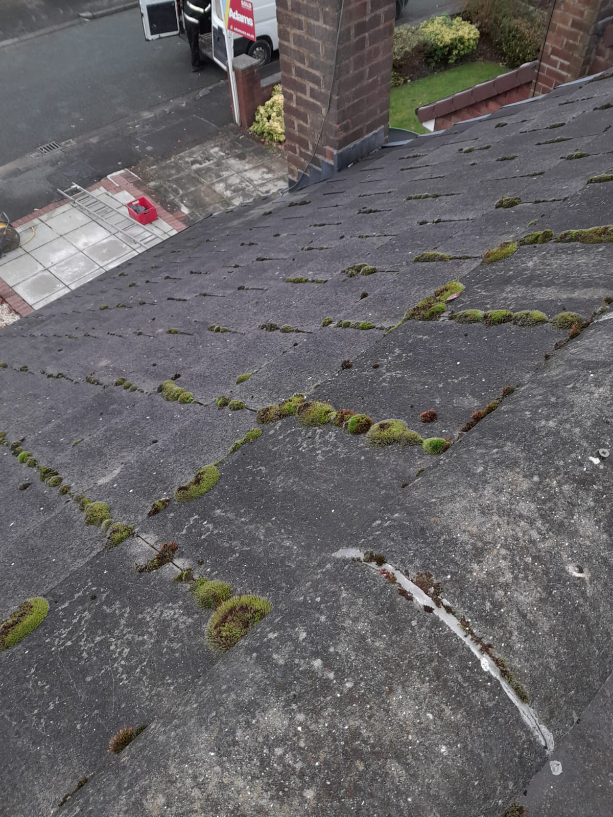 Roof Cleaning Newtown Before Overgrown